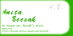 anita becsak business card